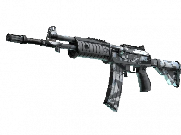 Galil AR | Winter Forest (Well-Worn)