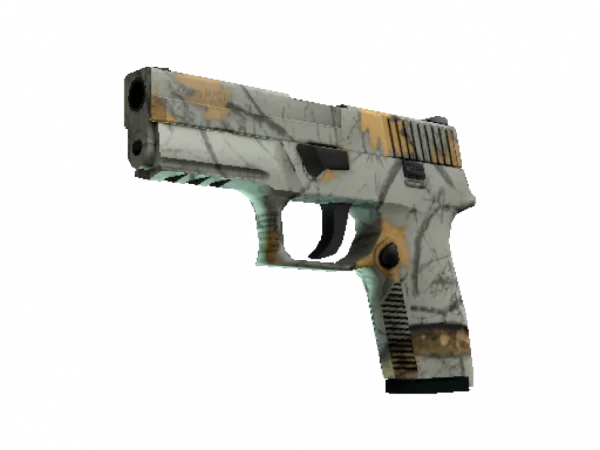 P250 | Modern Hunter (Minimal Wear)