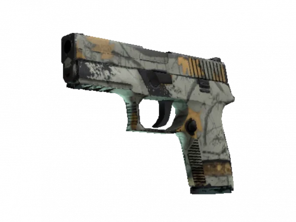 P250 | Modern Hunter (Well-Worn)