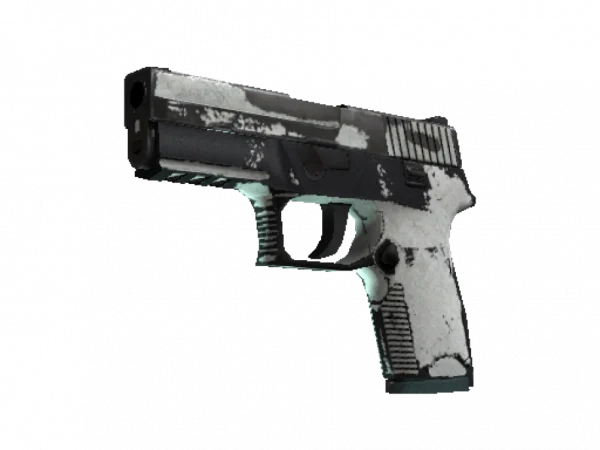 P250 | Whiteout (Battle-Scarred)