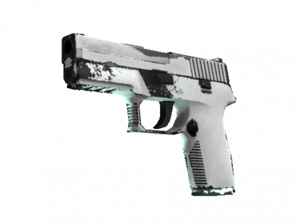 P250 | Whiteout (Well-Worn)