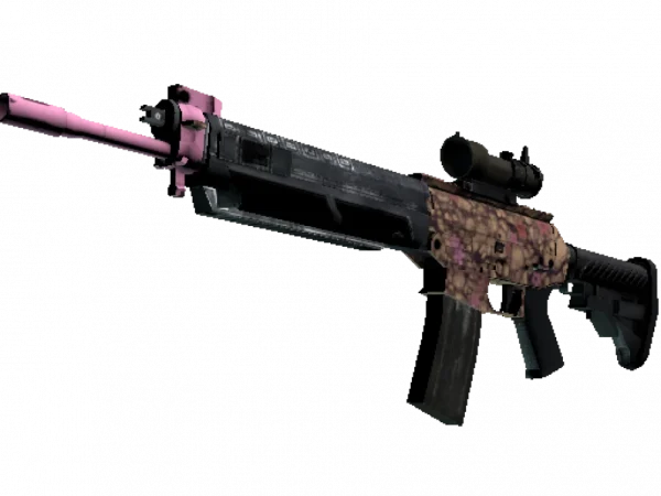 SG 553 | Desert Blossom (Factory New)