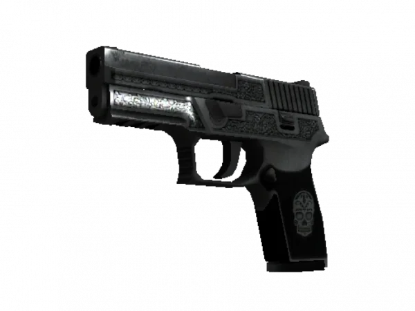 StatTrak™ P250 | Cartel (Battle-Scarred)