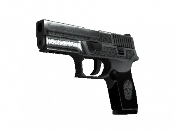 StatTrak™ P250 | Cartel (Well-Worn)