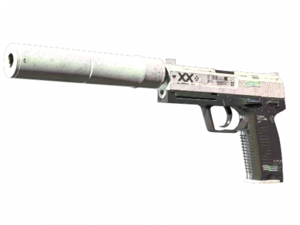 StatTrak™ USP-S | Printstream (Battle-Scarred)