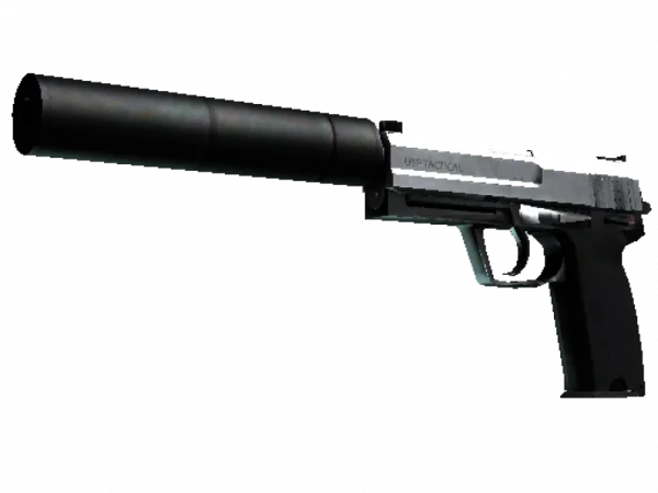 StatTrak™ USP-S | Stainless (Field-Tested)