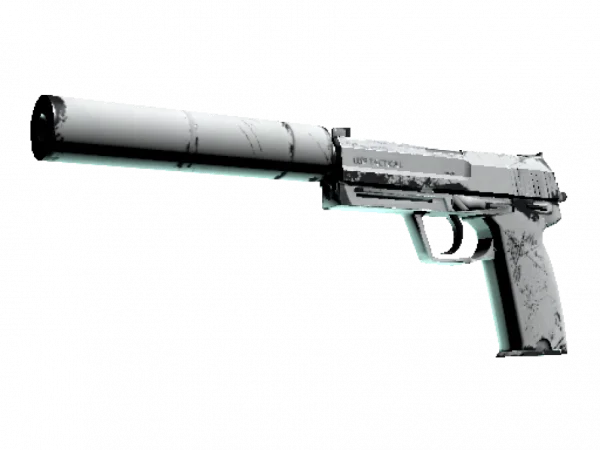 USP-S | Whiteout (Well-Worn)