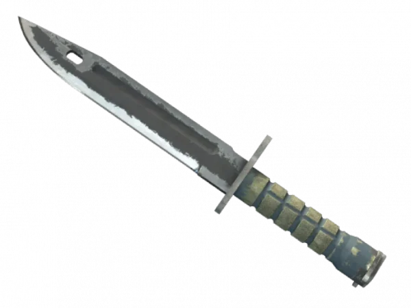 ★ Bayonet | Night (Battle-Scarred)