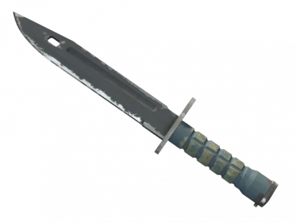 ★ Bayonet | Night (Well-Worn)