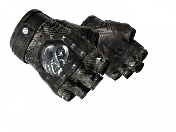 ★ Broken Fang Gloves | Unhinged (Field-Tested)