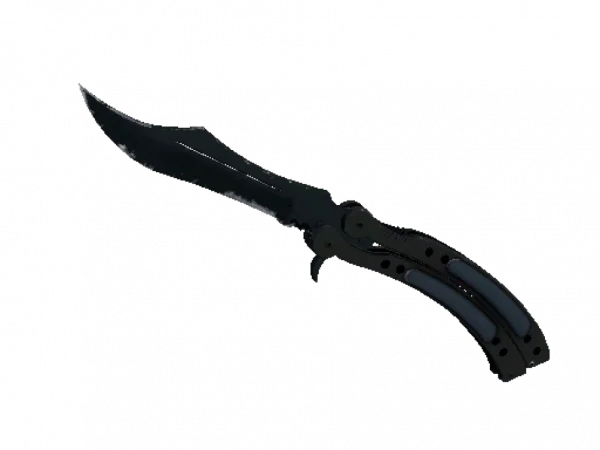 ★ Butterfly Knife | Night (Well-Worn)