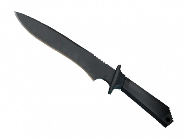 ★ Classic Knife | Night Stripe (Minimal Wear)