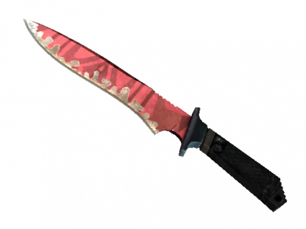 ★ Classic Knife | Slaughter (Field-Tested)