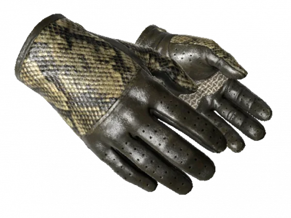 ★ Driver Gloves | Diamondback (Well-Worn)