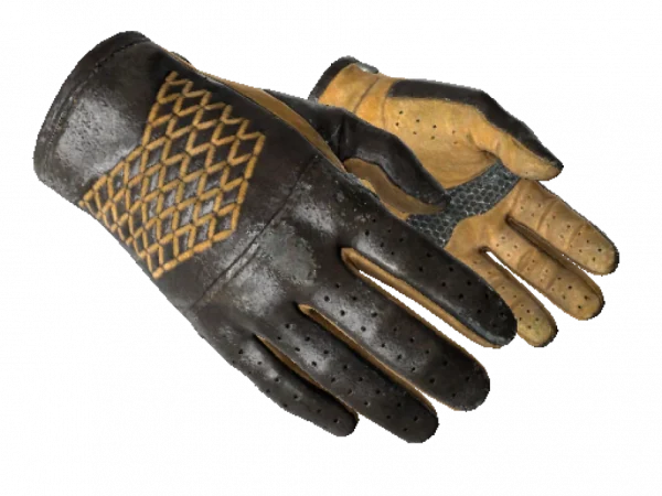 ★ Driver Gloves | Overtake (Well-Worn)