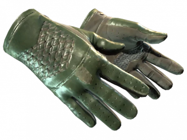 ★ Driver Gloves | Racing Green (Field-Tested)