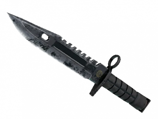 ★ M9 Bayonet | Night (Battle-Scarred)