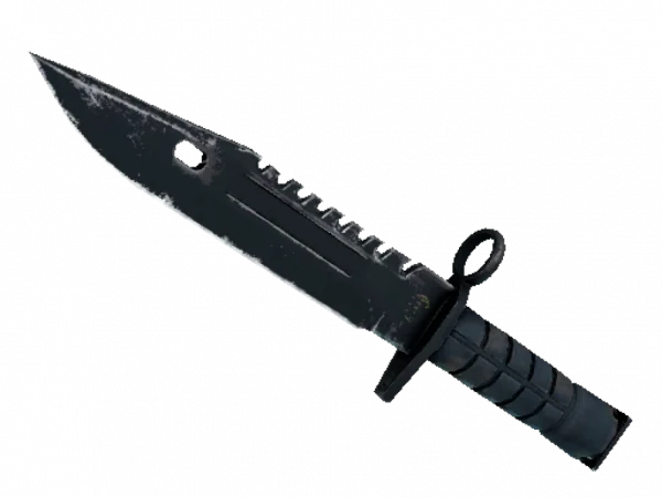 ★ M9 Bayonet | Night (Field-Tested)