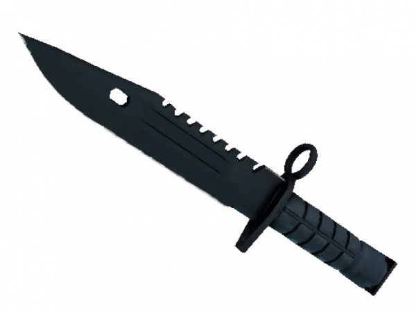 ★ M9 Bayonet | Night (Minimal Wear)