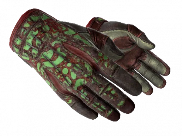 ★ Sport Gloves | Bronze Morph (Battle-Scarred)