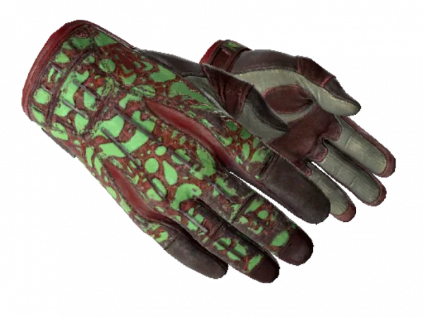 ★ Sport Gloves | Bronze Morph (Field-Tested)