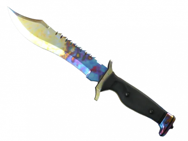 ★ Bowie Knife | Case Hardened (Factory New)