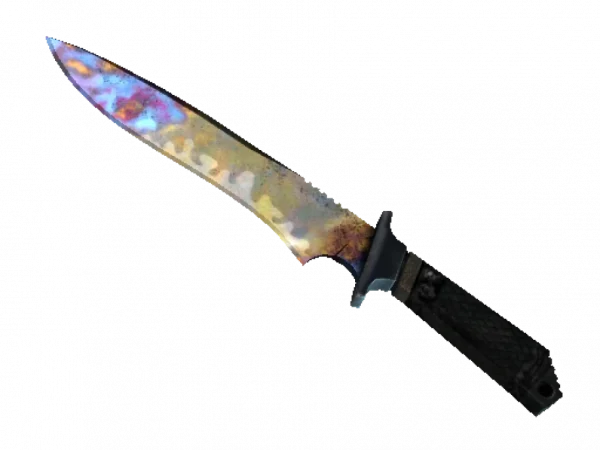 ★ StatTrak™ Classic Knife | Case Hardened (Well-Worn)