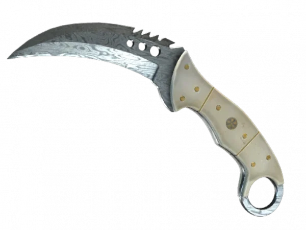 ★ StatTrak™ Talon Knife | Damascus Steel (Field-Tested)